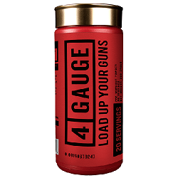 4 Gauge Review