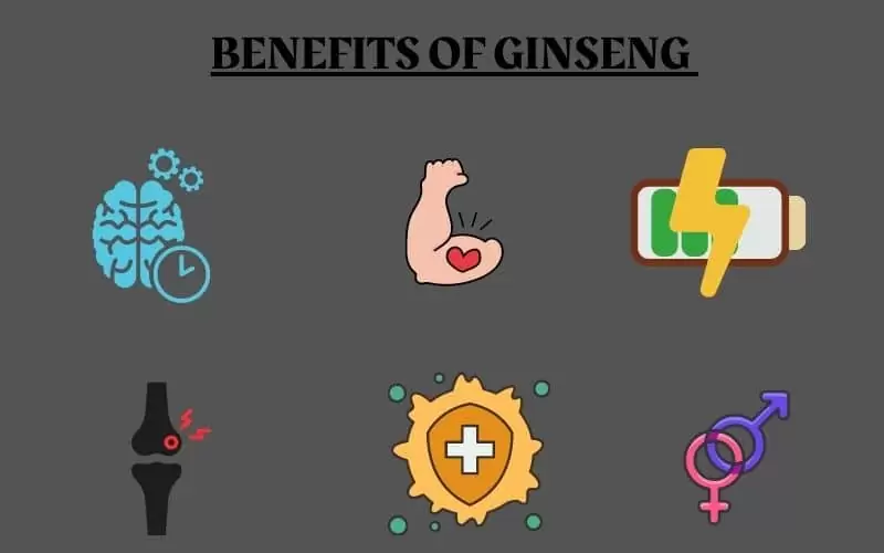 benefits of Ginseng