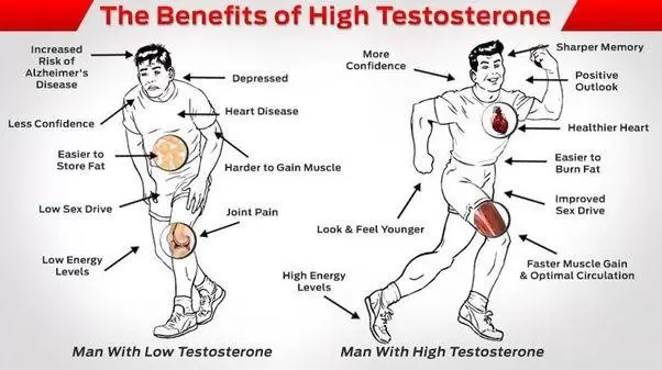 Top 3 Testosterone Booster