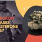 Can Boron Boost Testosterone