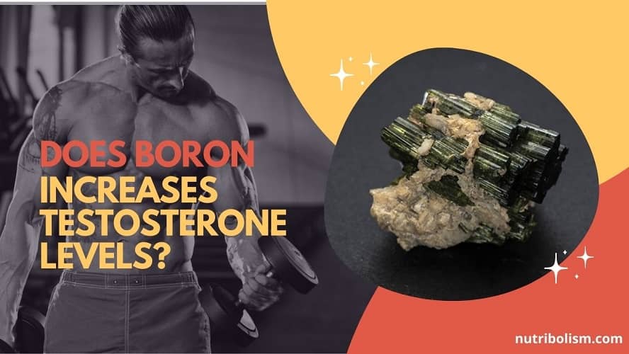 Can Boron Boost Testosterone
