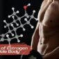 ffects of estrogen on Male Body