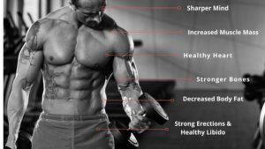 Testosterone Boosting Exercises With Workout Plan [Check Out]