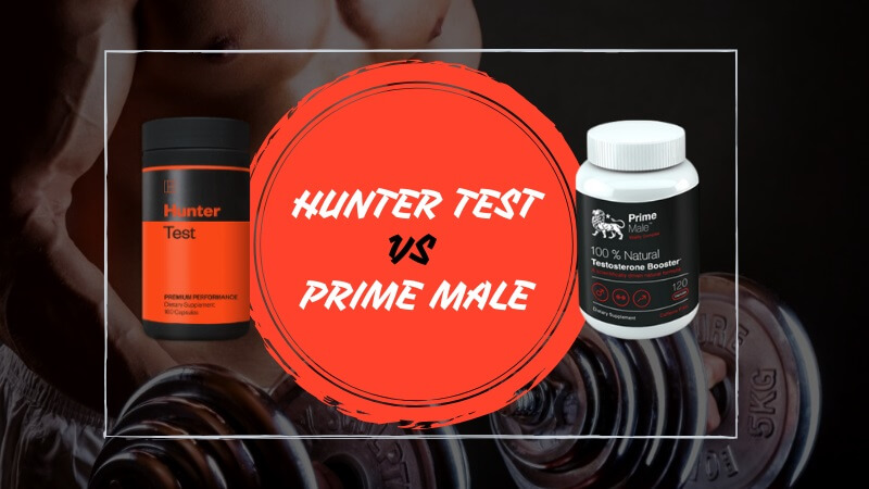 Hunter Test vs Prime Male