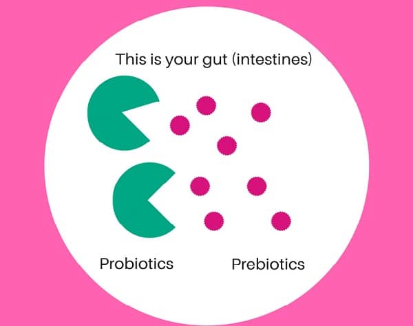 Have a probiotic with prebiotics.