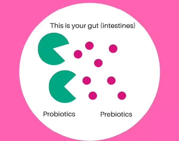 probiotics with prebiotics