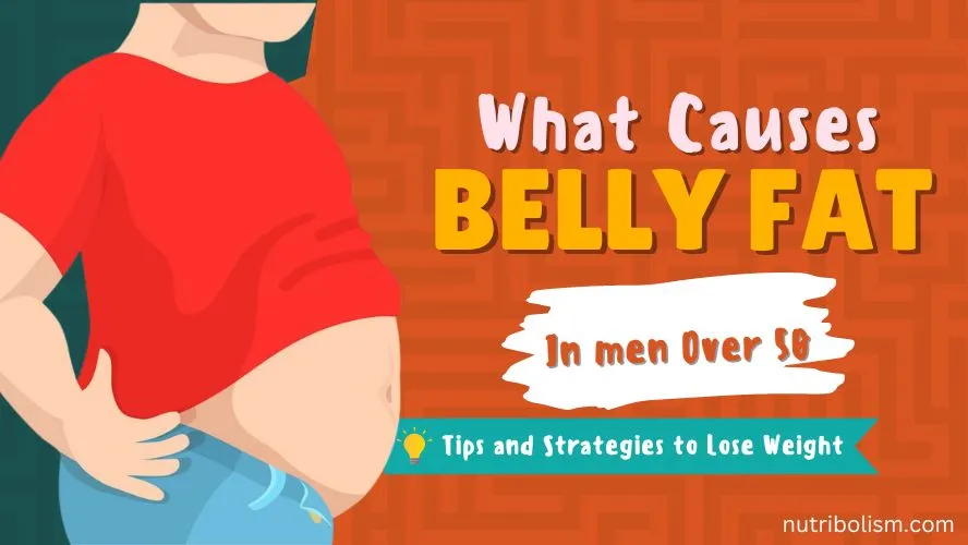 causes of belly fat