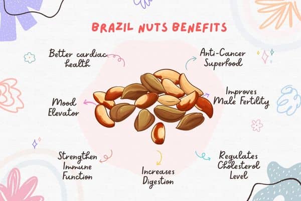 brazil nuts benefits
