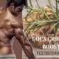 Does Ginseng Boost Testosterone