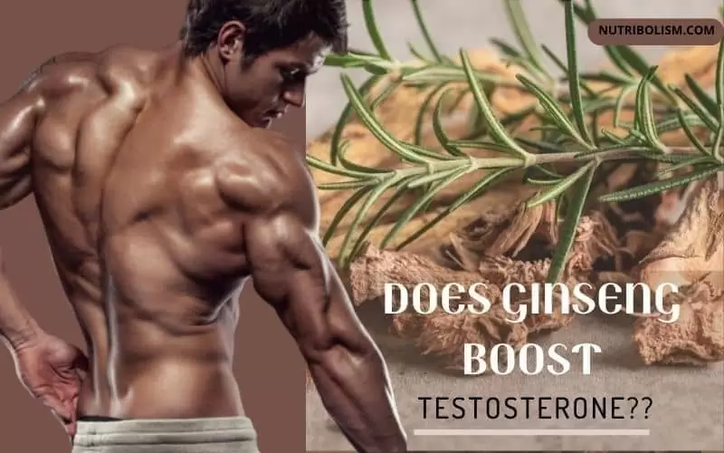 does-ginseng-affect-testosterone-level