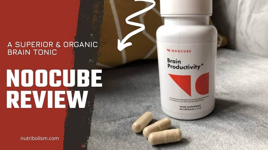 Noocube Results Review