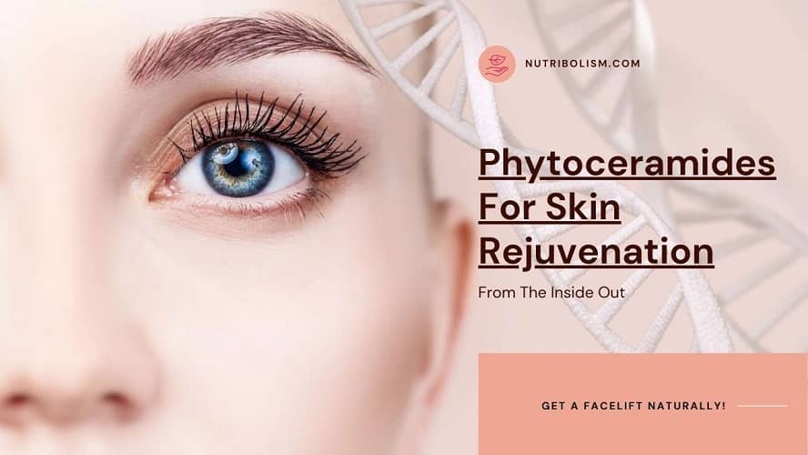 Phytoceramides For Better Skin: