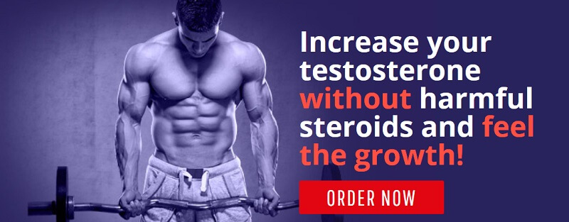 order testofuel