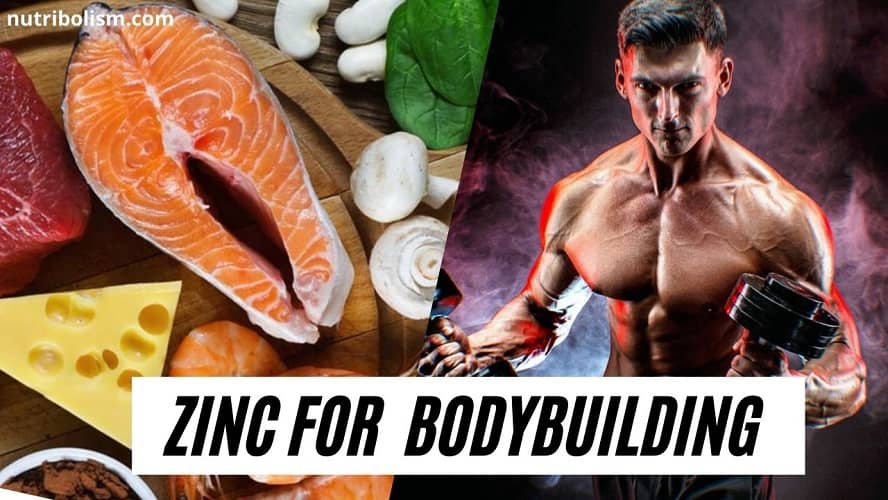 zinc for bodybuilding